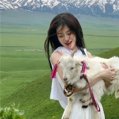 刑事7人第九季